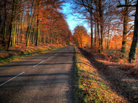 Route_de_lure