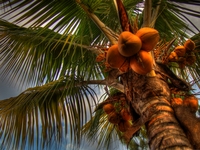 Hdr_006