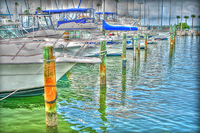 Img_9116b