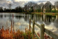 Img_0109_10_11enhancer