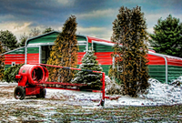 Christmas_tree_farm_hdr