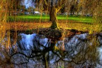 Img_0205_6_7enhancer