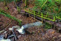 Img_0076_7_8enhancer