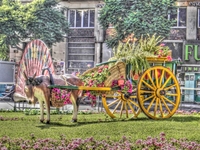 Carro_en_feria