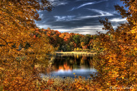 Fallpond_1