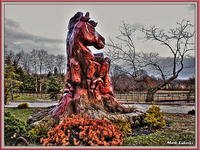 Horses2