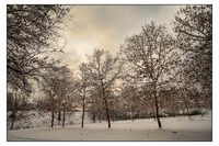 Prima_neve