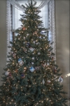 Christmas_tree_1
