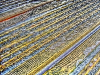 Frozen_decking_hdr3