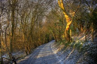 Img_0166_7_8enhancer
