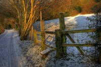 Img_0196_7_8enhancer