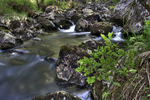 Small-river