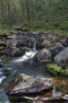 Stream