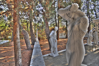 Dsc_0566_tonemapped
