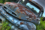 Blue-ford