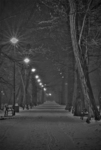 Bytom_park_hdr
