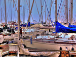 Harbor