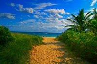 Beachhdr