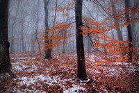 Hdr_2