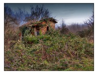 La_rivincita_della_natura