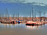 Harbor