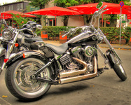 Harley