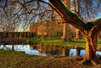 Img_0220_1_2enhancer