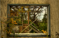 Dec202008_0420