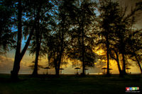 Sunrise-at-the-beach