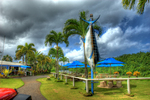 Hwhfrg209r