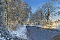 Humle_walfield_1700_x_1138_