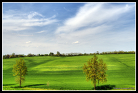 _d2b4225_6_7_tonemapped