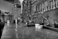 Img_1420-1421-1422_no_ca_no_noise_dp_bw_with_logo_little_at_50_