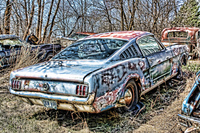 Mustangz2