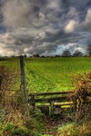 Img_0037_8_9enhancer