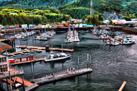 Dscbay_2315