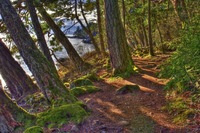 East_sooke_trails_coast_2_