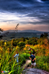 Broga-hill-skyline