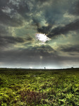 Udawalawe_comp