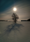 Nightscape_1