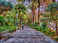 Parque_f_filtered