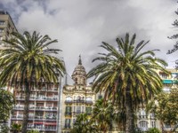 Palmeras_torre_catedral_m