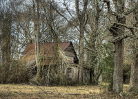 Abandoned4