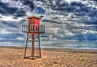 Barbate_1_f