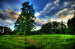 -rim-park-trail-waterloo-ontario-