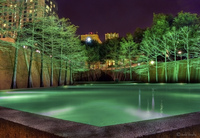 Water_garden_3