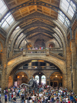 3932078661_00af845e7b_o