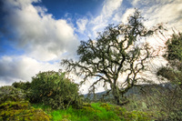 Img_0993_4_2_tonemapped-1