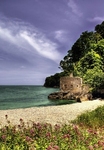 Old-mill-