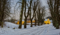 Ydsc_1873